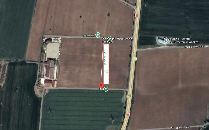 Tancabesti DN1, Equestria,